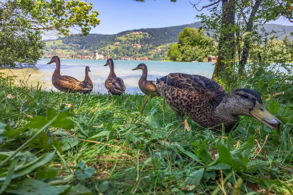 foto-therapie-stefan-schiefer08