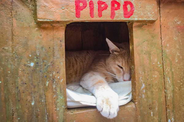 foto-therapie-stefan-schiefer12