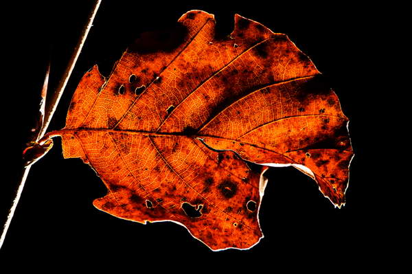 foto-therapie-stefan-schiefer19