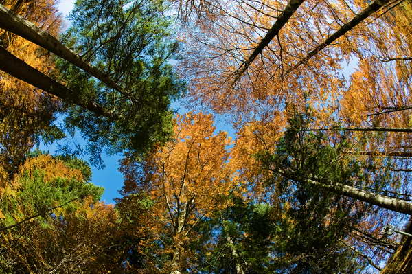 foto-therapie-stefan-schiefer21