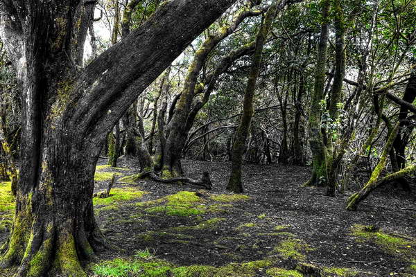 foto-therapie-stefan-schiefer23