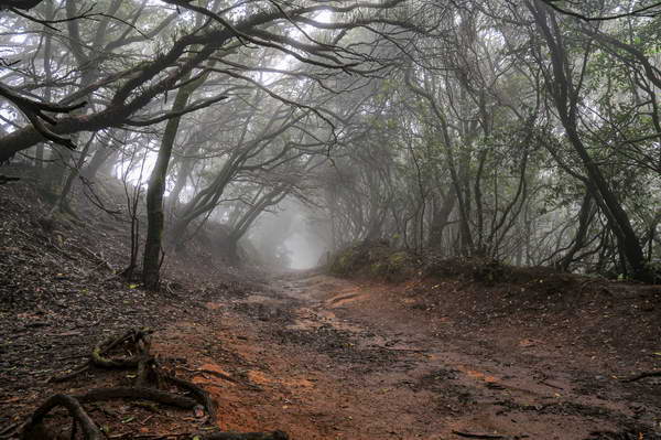 foto-therapie-stefan-schiefer27