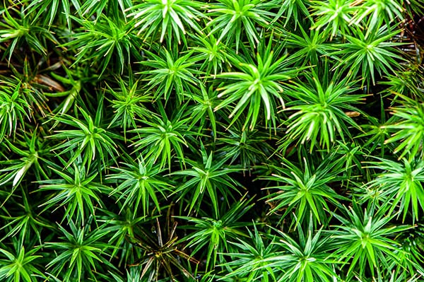 foto-therapie-stefan-schiefer30